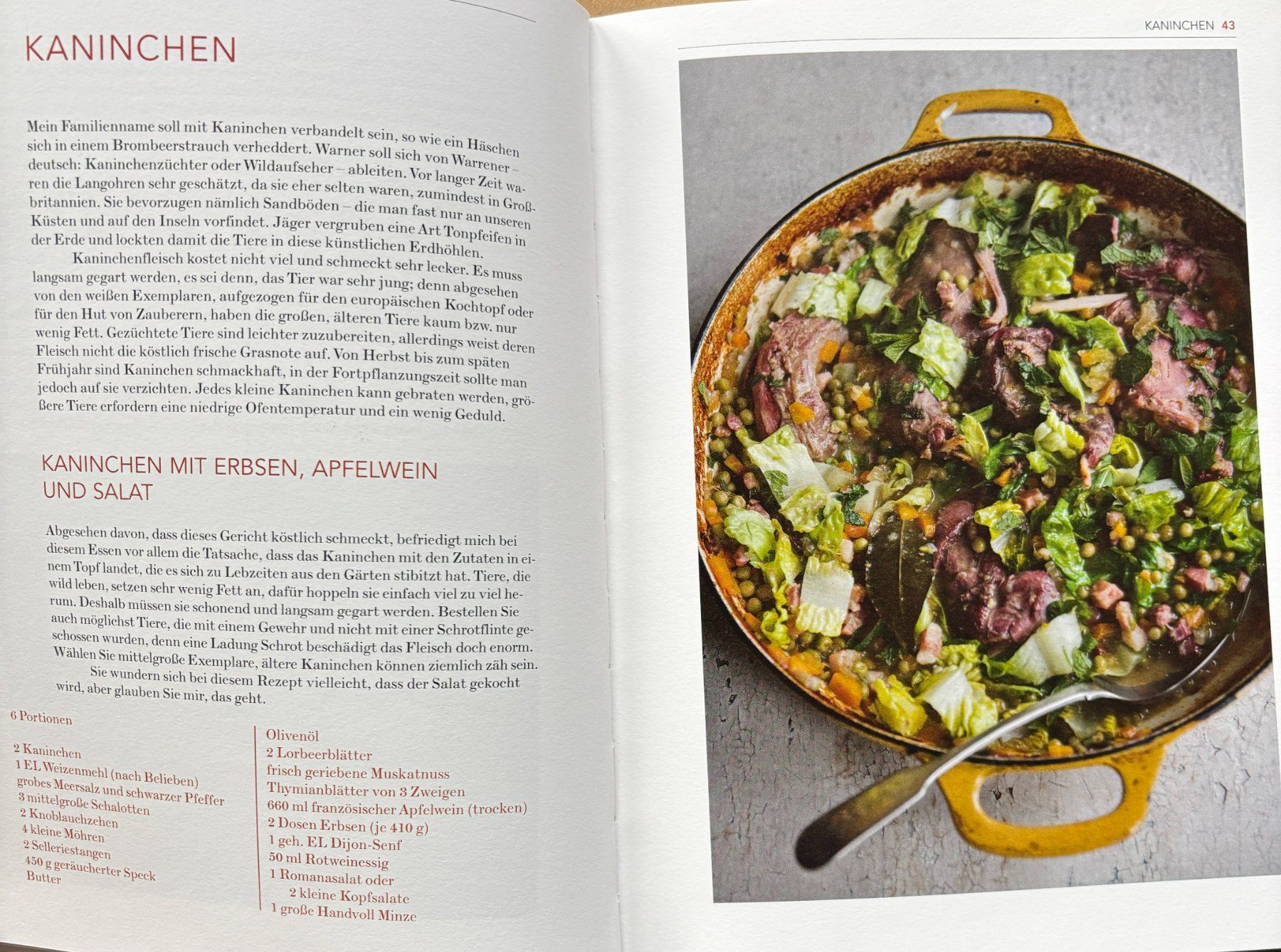 Libri: Frisch kochen jetzt – Nuovo (secondo la descrizione) da Sarnen venduto da Livres 5