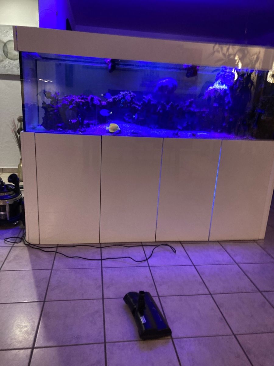 Acquari: Aquarium 1000 Liter  – Usato da Grüningen venduto da ponte08 2
