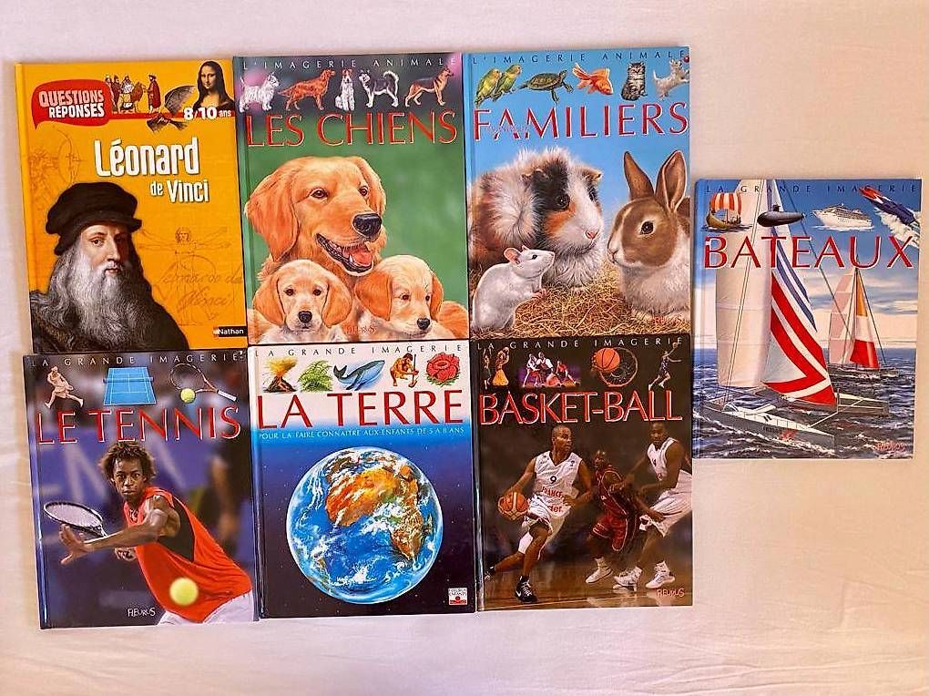 Comics: BD (7) pour vos enfants – Gebraucht aus Montreux von dan_g5wm