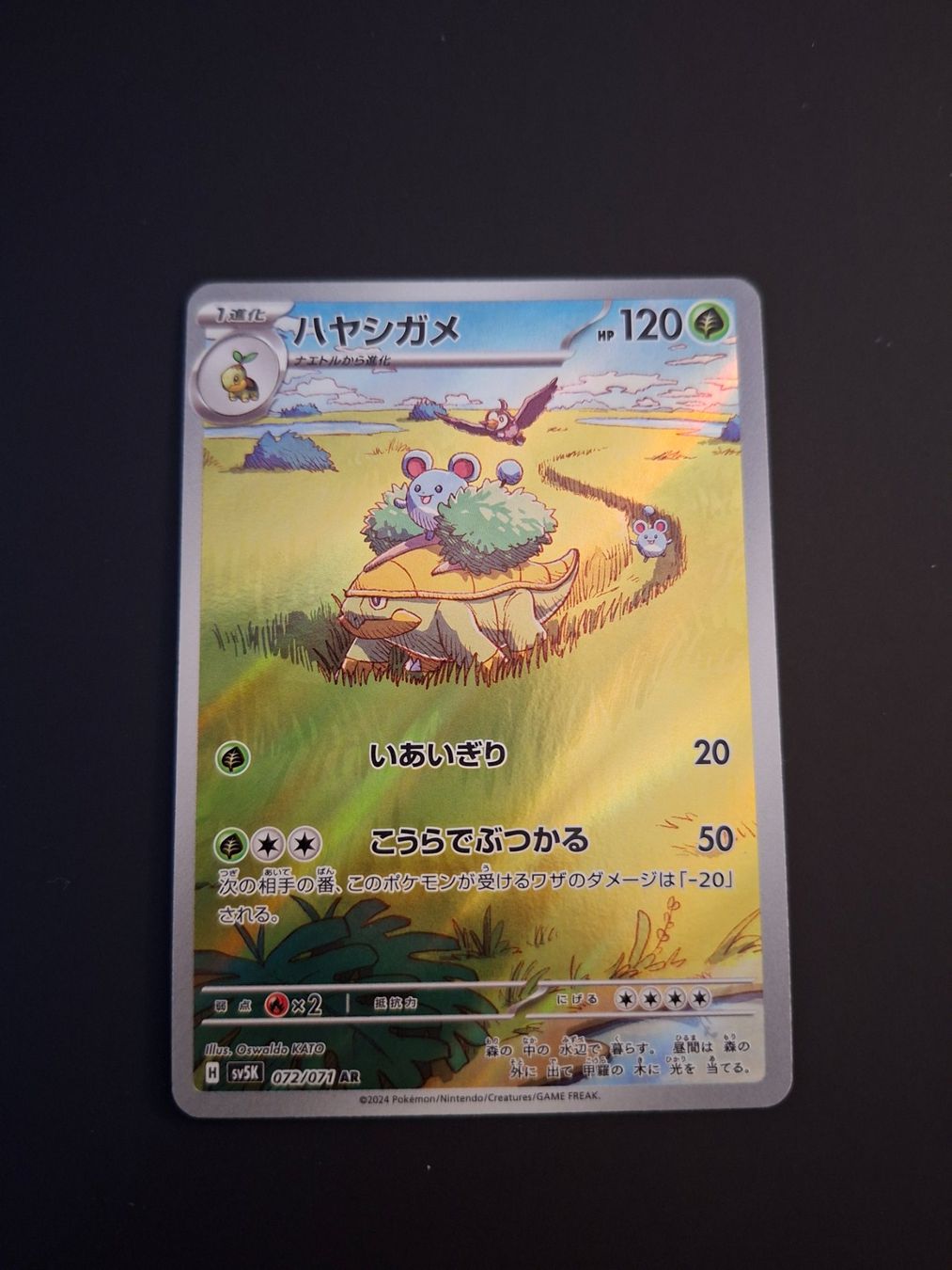 Pokémon Carte collezionabili: Grotle #072 sv5K Wild Force JAP – Usato da Biasca venduto da Sara_Poke123