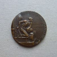 Medaille ++ Ferrea i legione Torino 1923