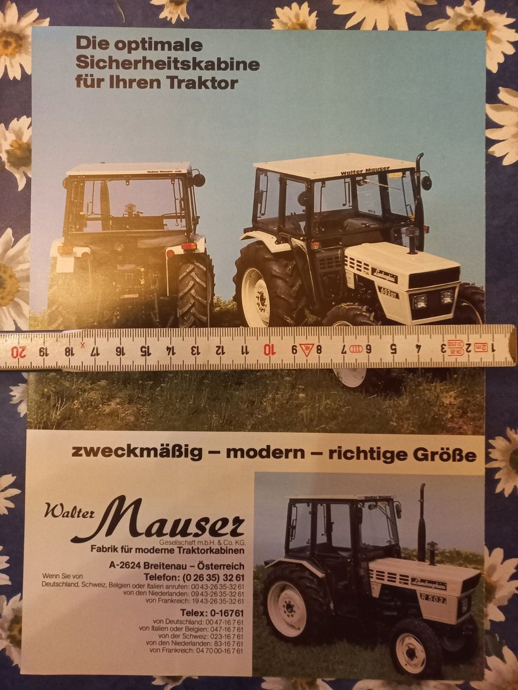 Lamborghini Documenti: Oldtimer Traktor Prospekt Lamborghini 654 235 503 603 Mauser – Nuovo (secondo la descrizione) da Dulliken venduto da classiclerchdulliken 1
