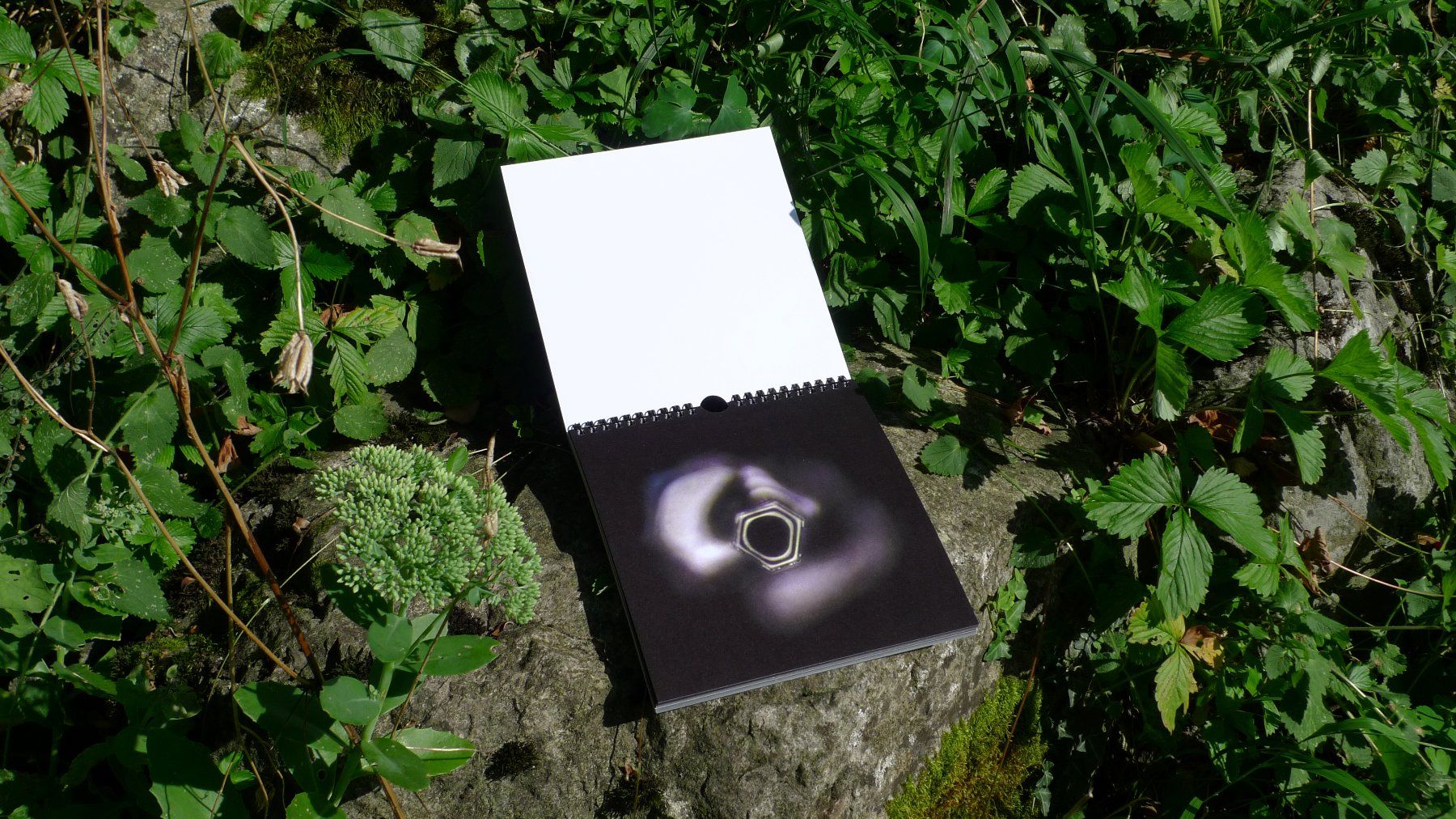 Libri: Glastonbury Eiskristalle / Avalon - Matrix – Nuovo e nell'imballaggio originale da Schaan venduto da Jtd 1