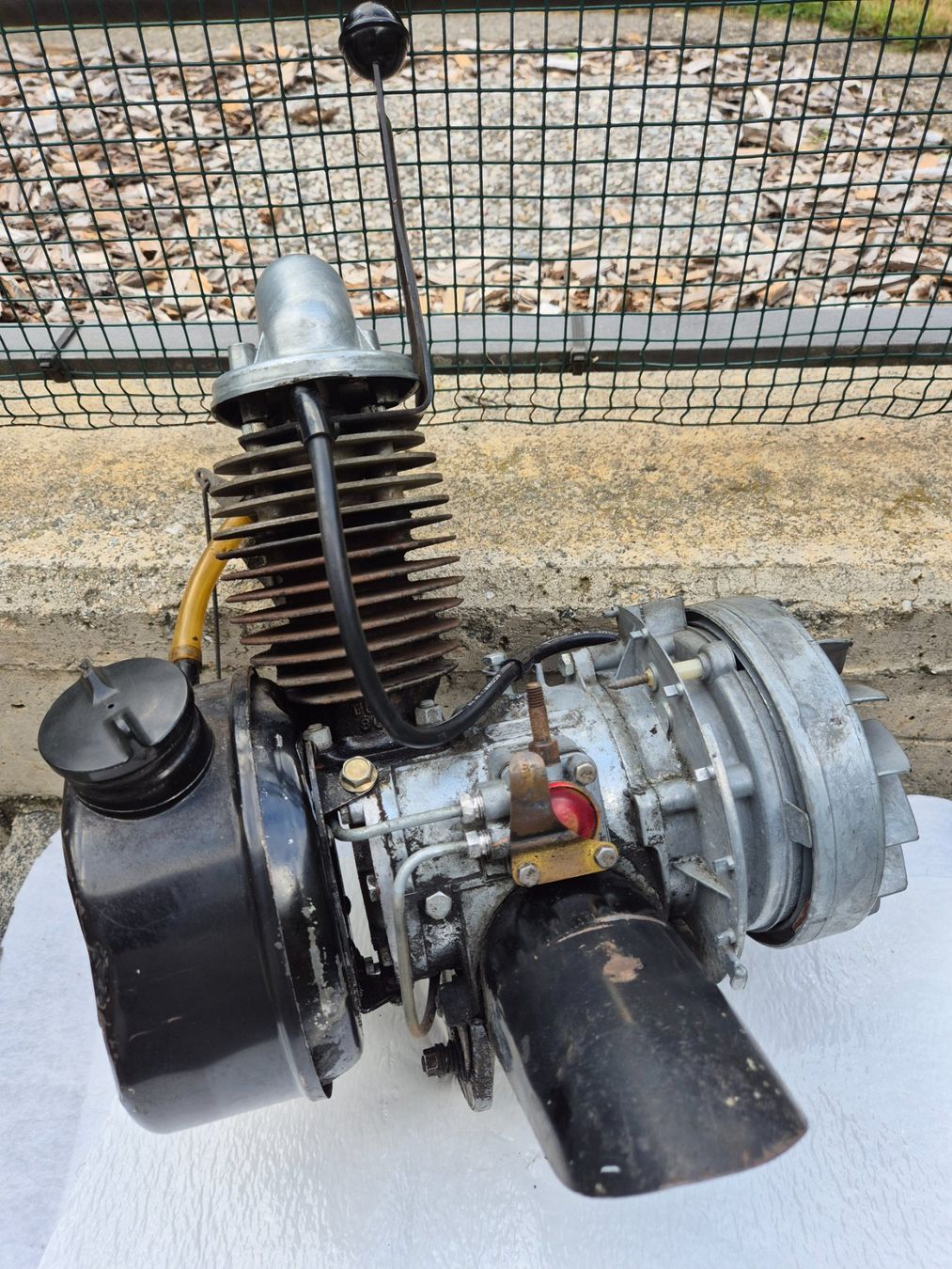 Solex Ciclomotori: Solex Velosolex – Difettoso da Giumaglio venduto da doro65 3