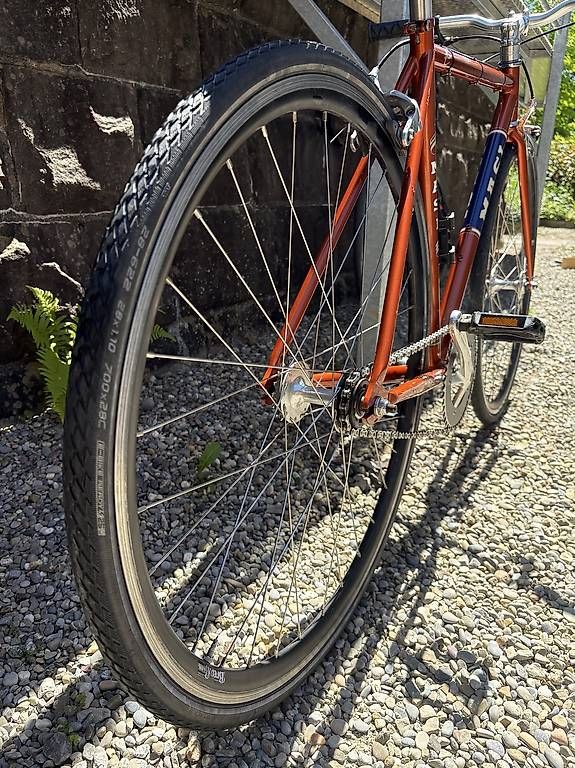 Biciclette: Masi Fahrrad Grösse S / 51 – Usato da Zürich venduto da oldstar90 2
