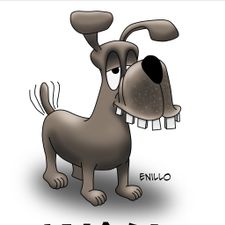 Profile image of Enillo