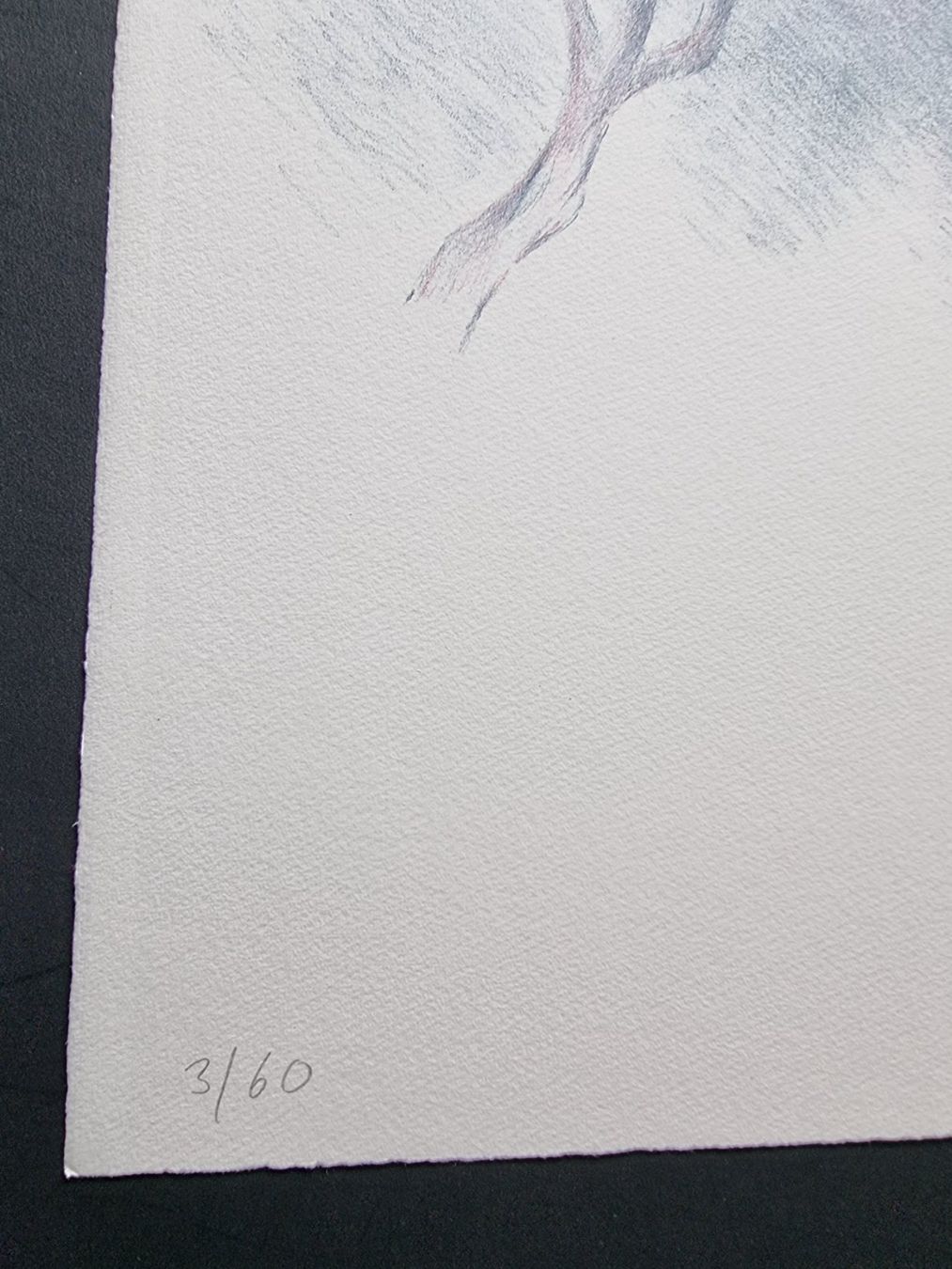 Grafica & Litografie: BARBARA STUCKY LITHOGRAPHIE SIGNIERT NUMMERIERT – Usato da Gersau venduto da grafik-kunst 3
