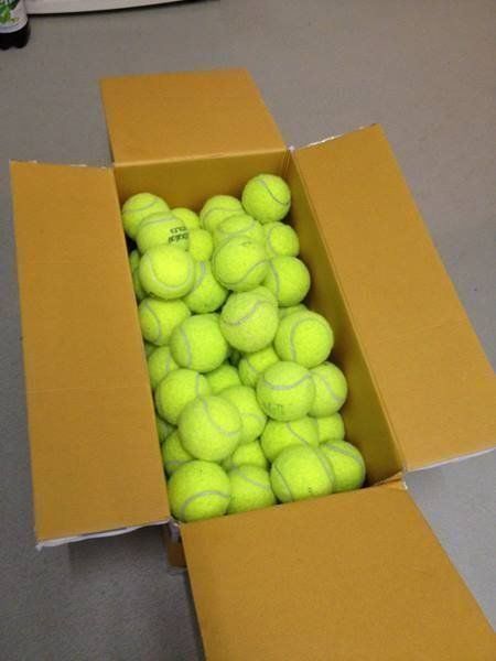 Palloni: 30 gebrauchte Tennisbälle – Usato da Dussnang venduto da Tibi1952