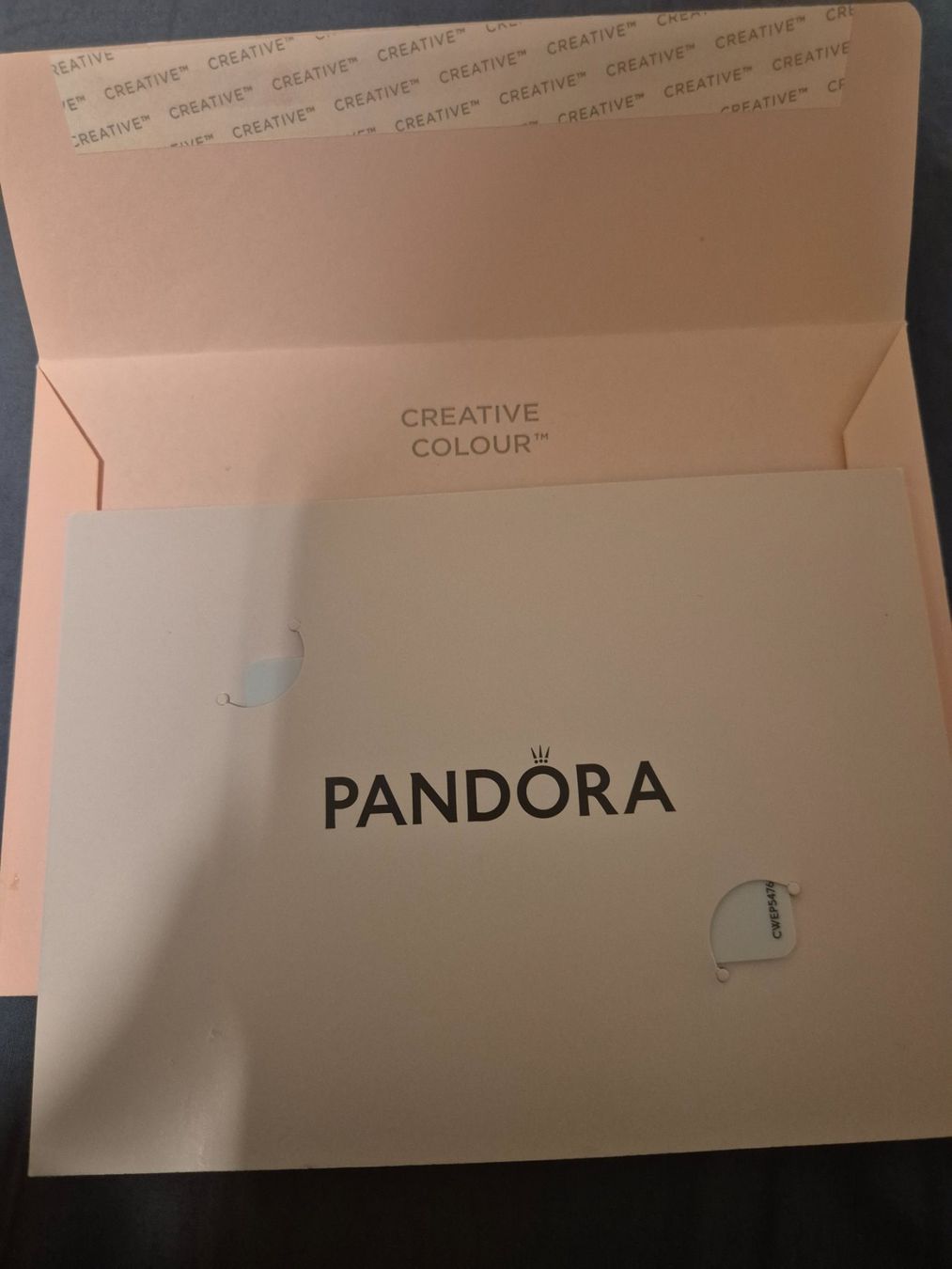 Pandora Gutscheine: Pandora Gutschein CHF 406.60 - Super Geschenkidee! – Neu und originalverpackt aus Baar von Gowresan 3