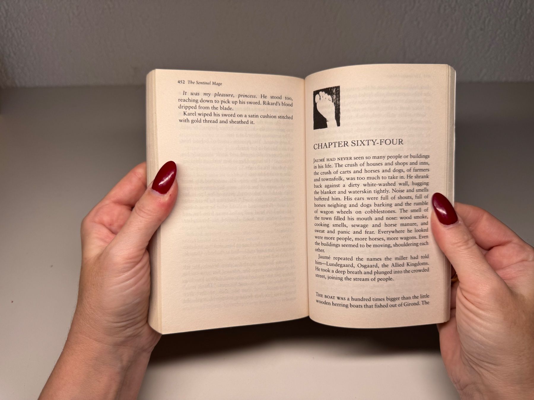 Libri: NOVEL: Emily Gee, The Setinal Mage – Usato da Grosswangen venduto da English_books 7
