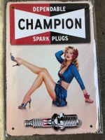 Champion spark plugs pin up