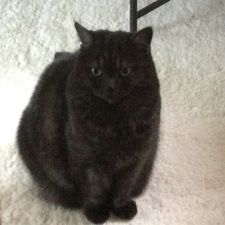 Profile image of Kchloe