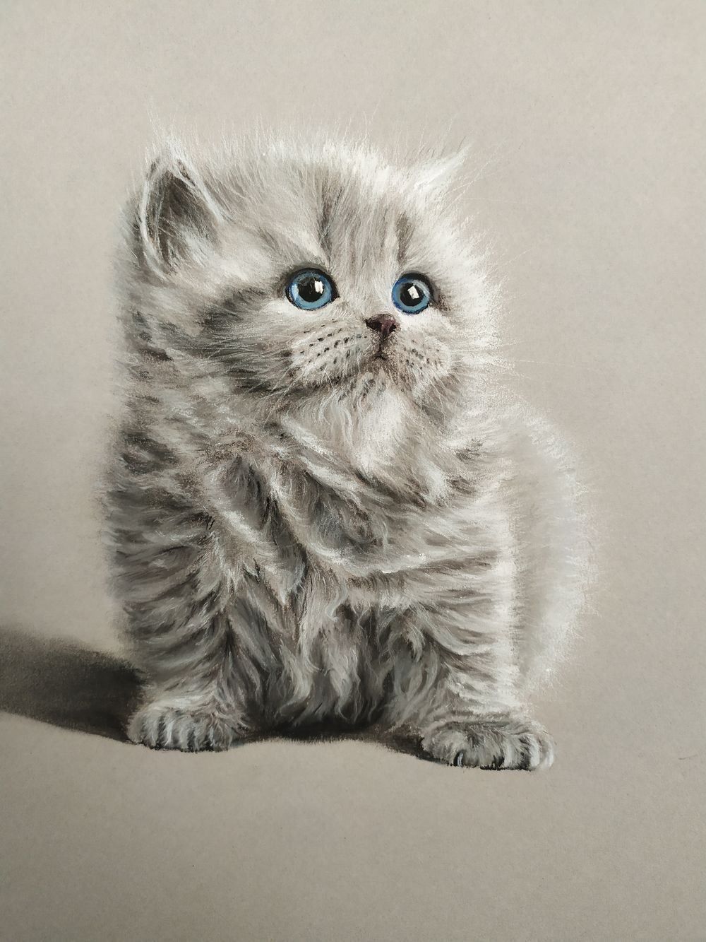 Dipinti: Katzenbild mit Pastellkreiden gemalt – Nuovo (secondo la descrizione) da Inwil venduto da mm70