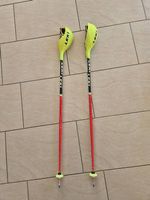 Baton ski 110cm LEKI avec protection