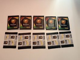 Panini Euro 2004 10 Tüten=50 Bilder, frisch aus der Box
