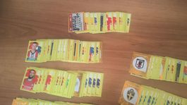 Über 500 Panini Bilder WM 2026