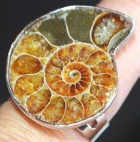 Ring L-4469 – Ammonit Fossil – Grössenverstellbar