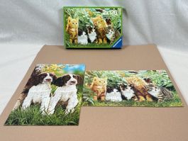 RAVENSBURGER Hund und Katzen Puzzle 2x126