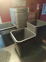 Pflanzentopf 11lt, 24x24x26cm, 6 Stück vorhanden. Preis/Topf