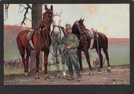 - Infanterieoffiziersordonanz mit Pferde