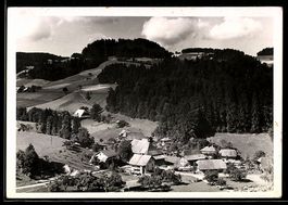 AK Schwanden i. E., Ortspartie mit Bauernhöfen und Wald