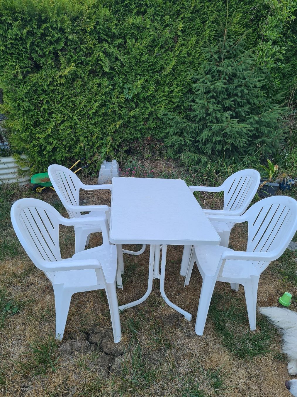 Tischset: Gartentisch mit 4 Stühlen Set weiss Kunststoff, Mecalit – Gebraucht aus Sissach von pablum87