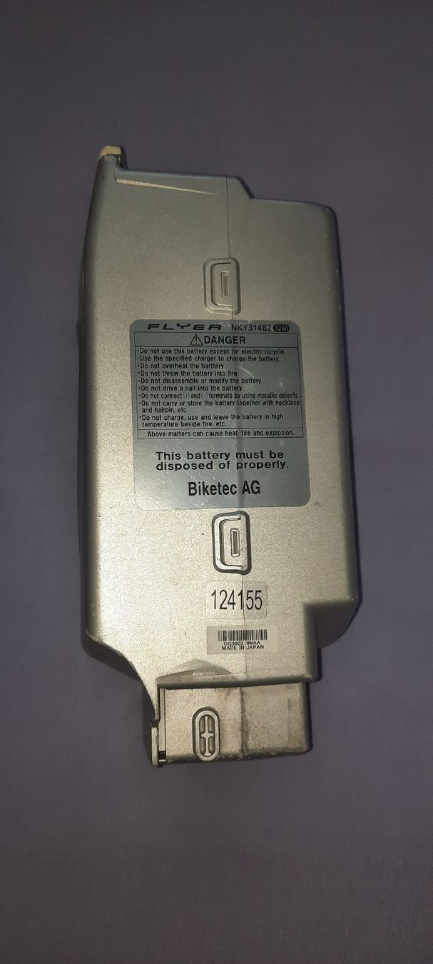 Flyer Akkus: Flyer Akku 12ah – Defekt aus Aarau von dlo_6vxn 1