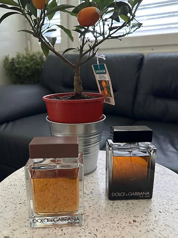 Profumi & Eau de Toilette: Dolce & Gabbana The One for Men EdT 150ml – Usato da Suhr venduto da a_tec 2