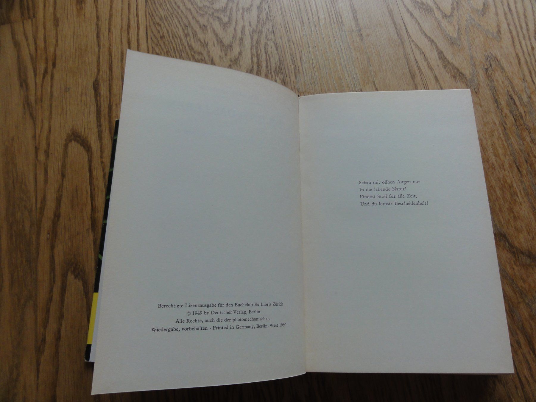 Libri: Du und das Leben, Antiquität – Usato da Riedholz venduto da Taweva 3
