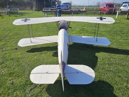 Bucker Jungmeister WB 1/2