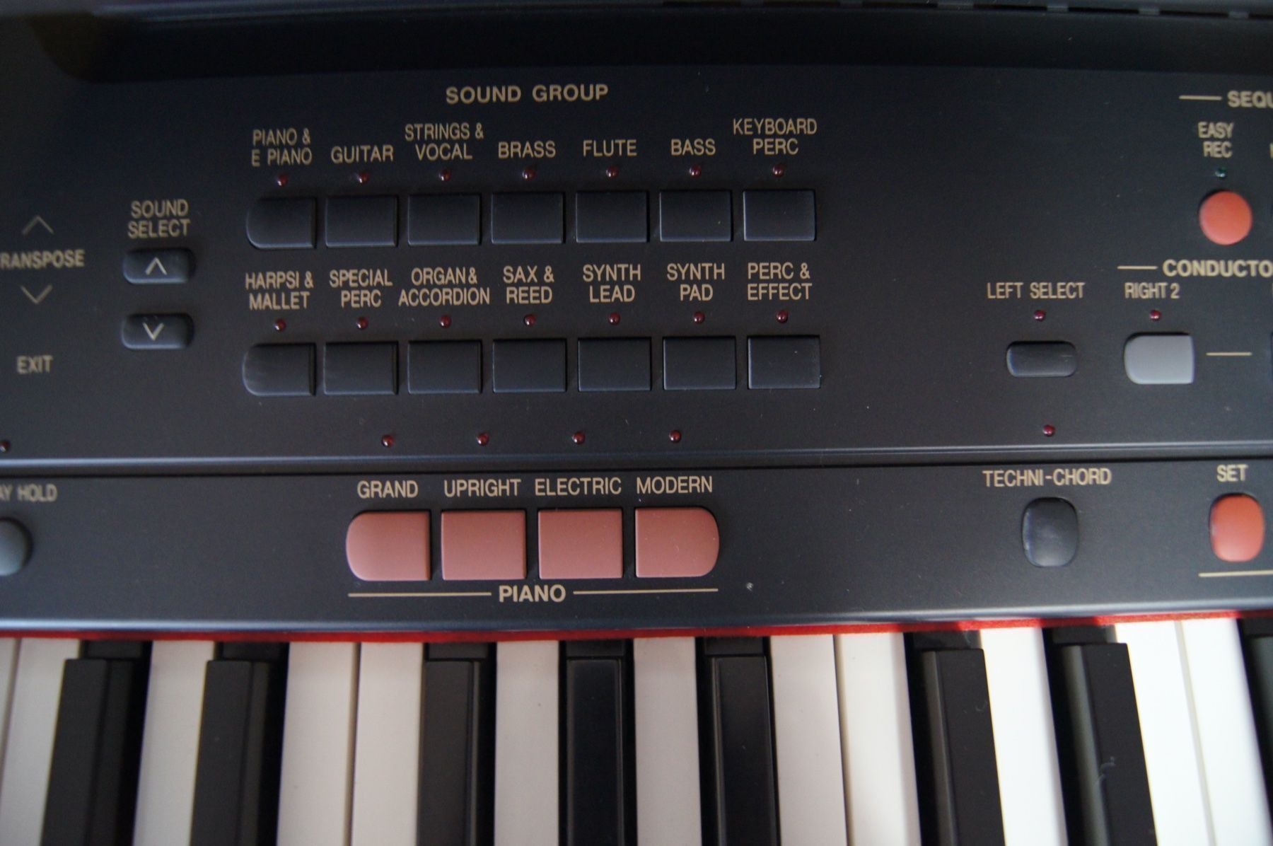 Technics Strumenti musicali: Digital Piano, Technics – Usato da Wattwil venduto da edel88 8