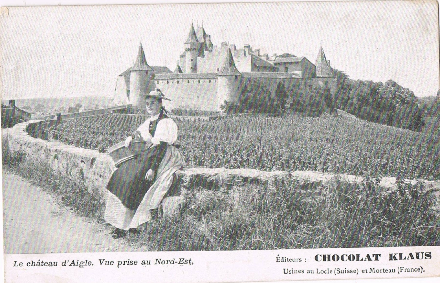 Cartoline postali: AIGLE, Schloss / Château – Usato da Buchs AG venduto da Baerfisch