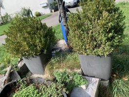 2 Eternit Gefässe, hergestellt 2020,Winterhart,bepflanzt