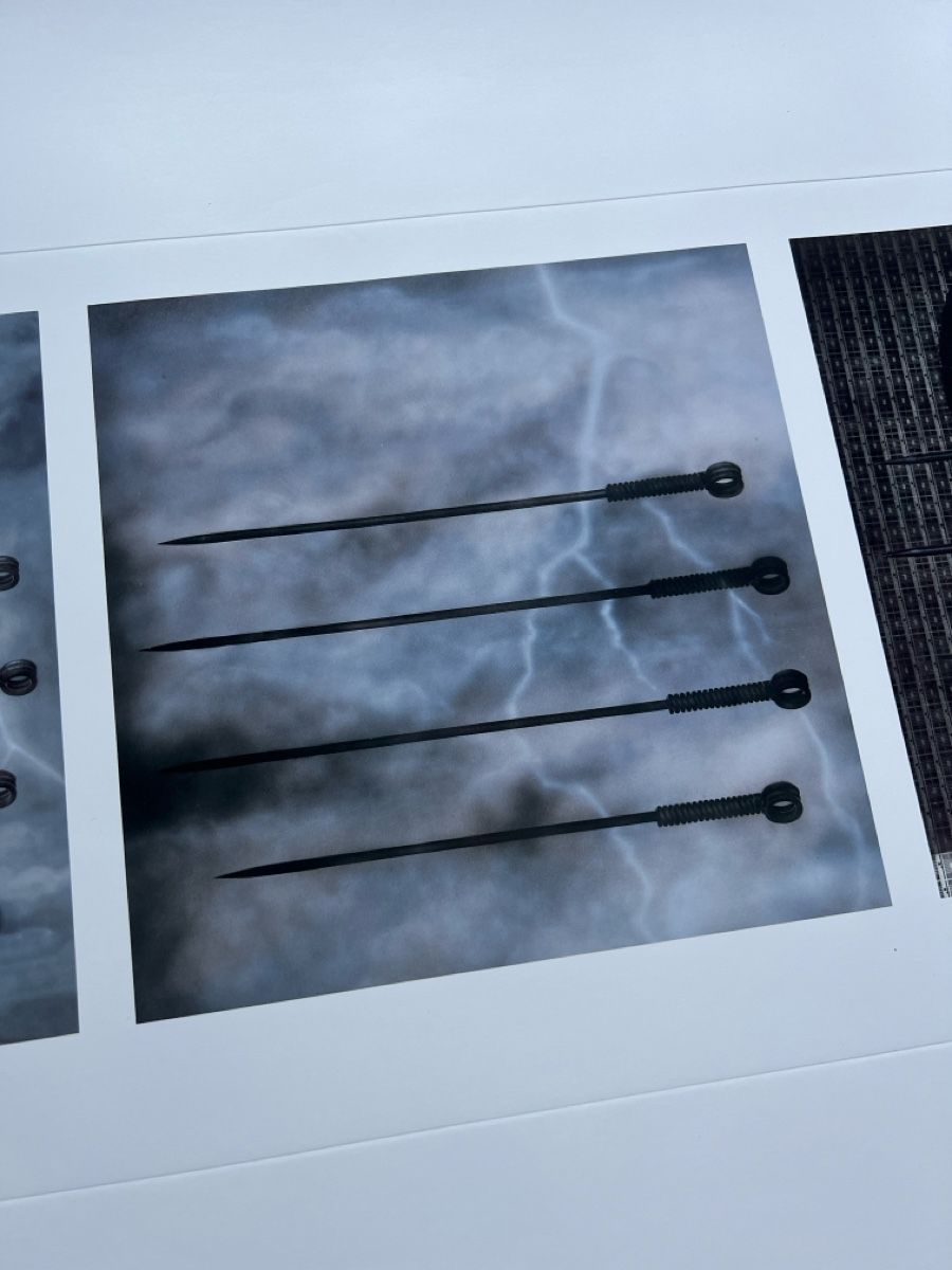 Grafica & Litografie: HR Giger Lithografie, Debbi Harry, Blondie – Nuovo (secondo la descrizione) da Glattfelden venduto da Ak_5bL 2
