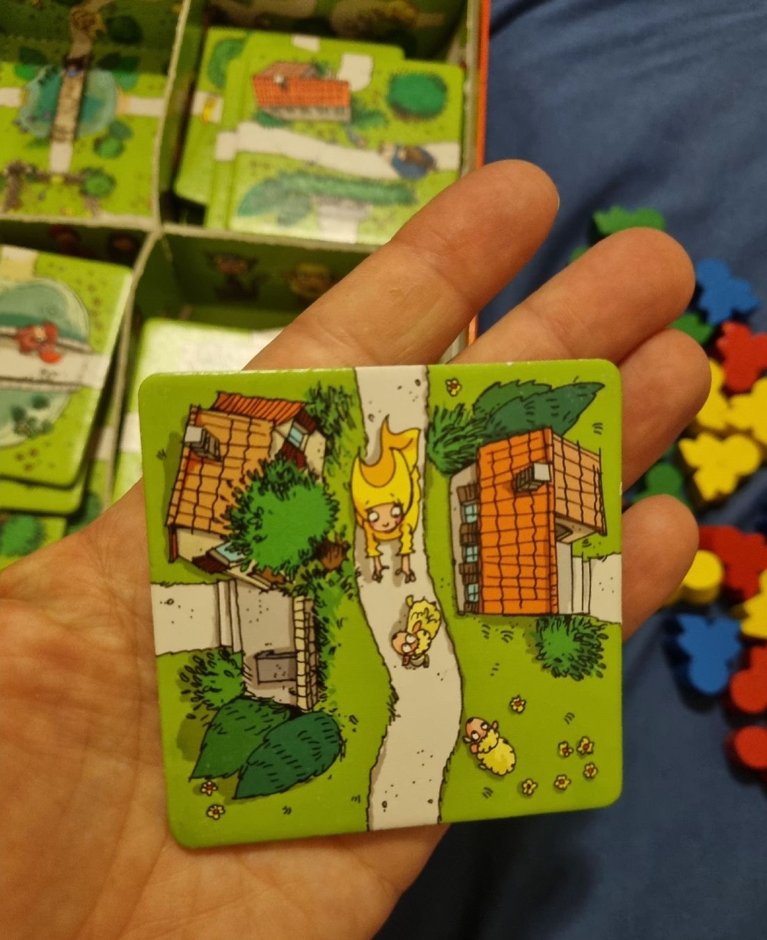 Giochi: Jeu de société Carcassonne Junior  – Usato da Fribourg venduto da jarmilka 5