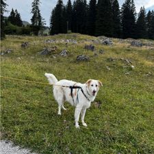 Profile image of eleu