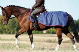 Pferde Ausreit- +Aufwärmdecke - Champ Einheitsgrösse Aktion