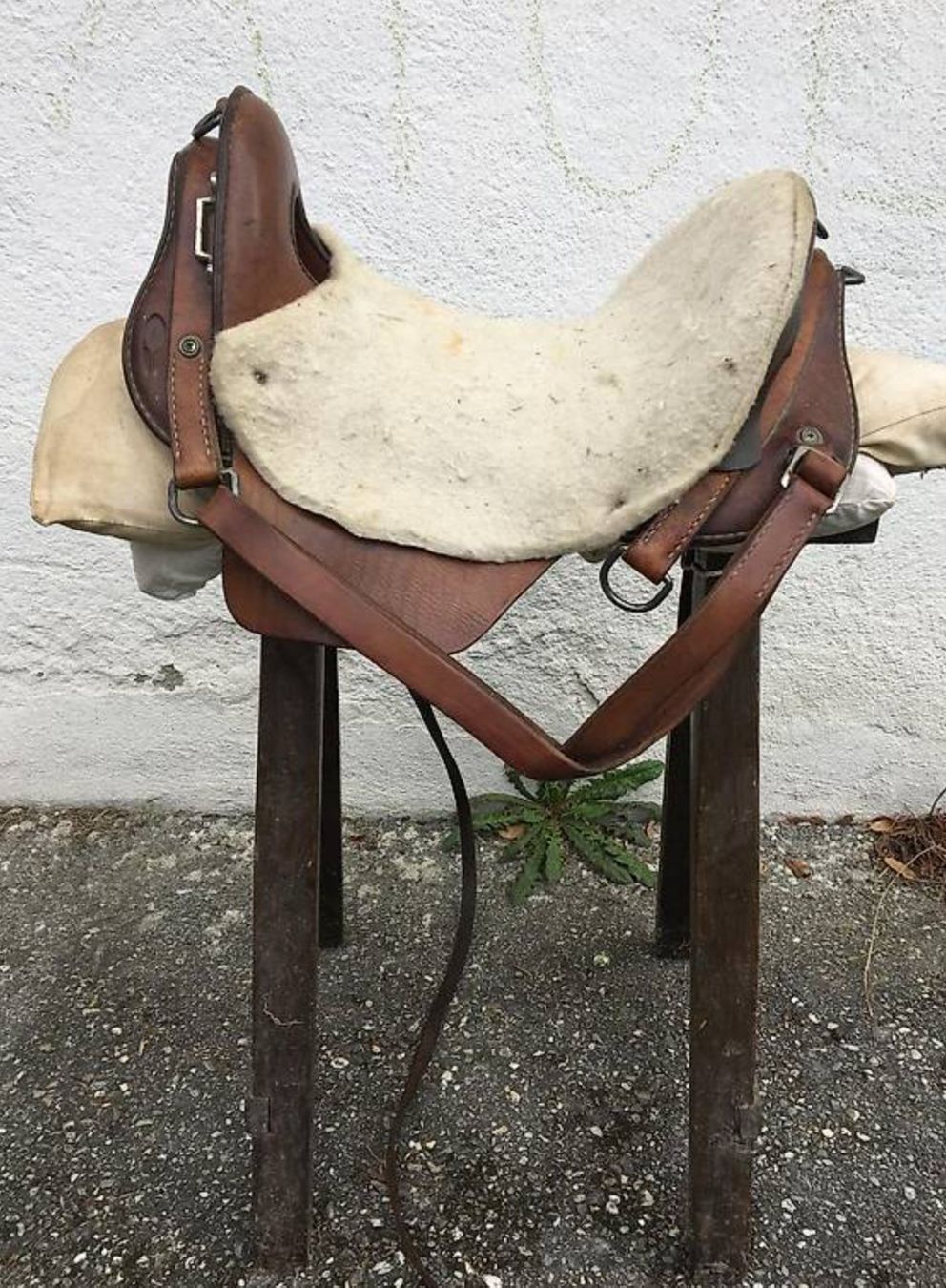 Selles, accessoires: Reitsattel – D'occasion à Sagogn par papsmouk