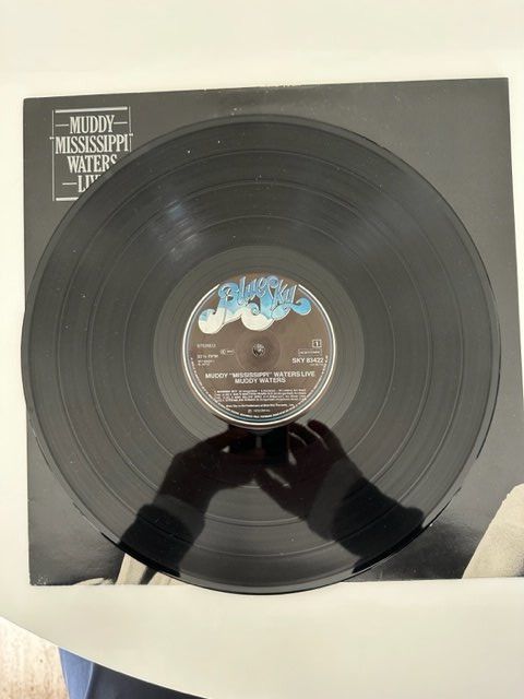 Dischi in vinile: MUDDY MISSISSIPPI WATERS LIVE CBS 1979 – Usato da Davesco-Soragno venduto da cap_67b9 2