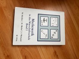 Mathematik in der Wirtschaftsschule - Band 1
