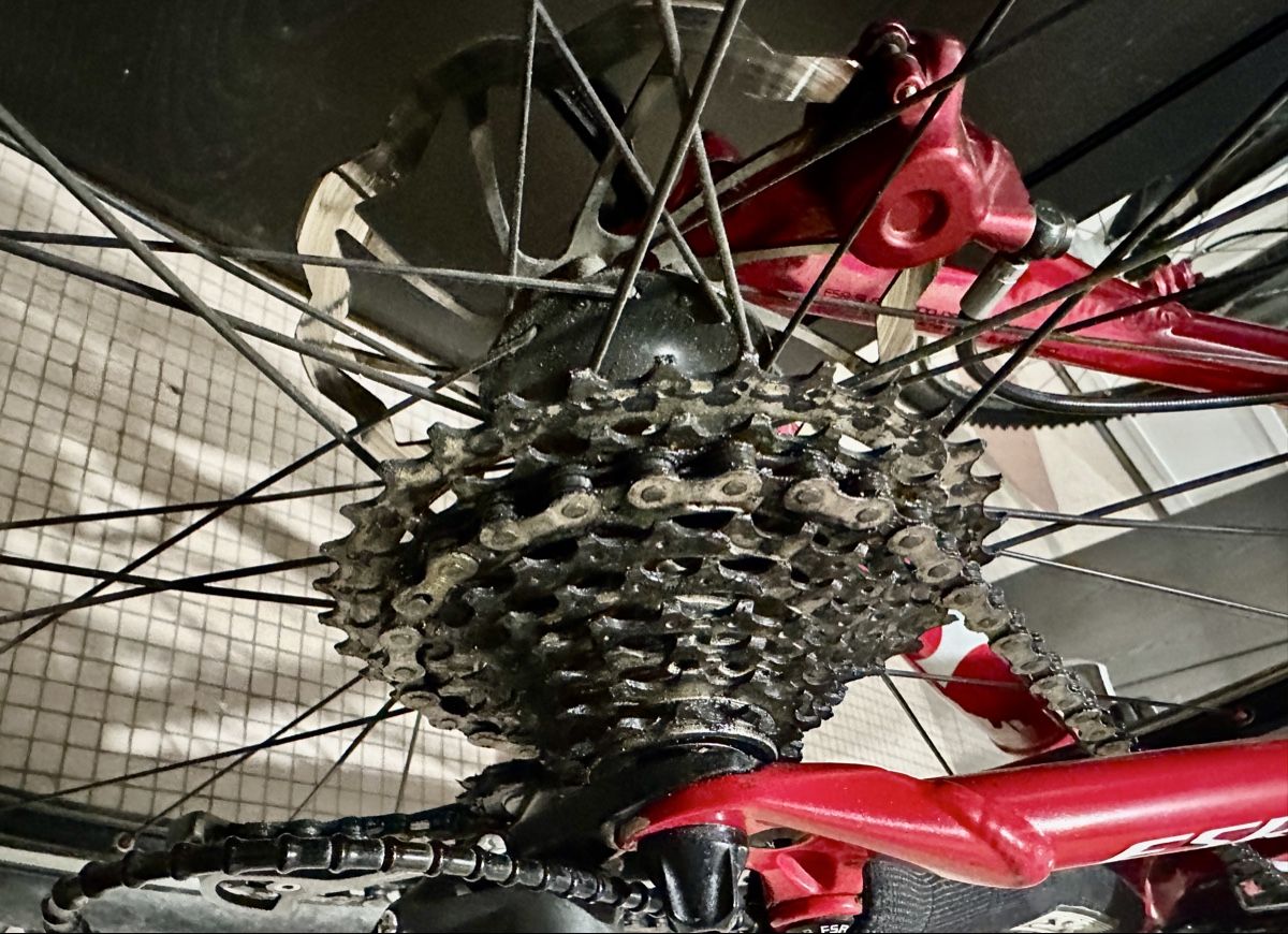 Specialized Biciclette: Velo Specialized XC Pro, 26“ – Usato da Rumlikon venduto da sch_dcq9 3
