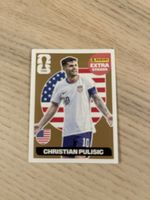 PANINI Sticker Extra