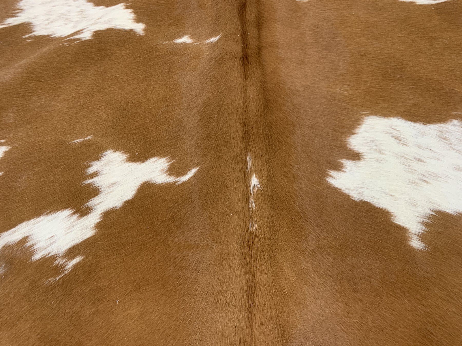 Tappeti: echtes Kuhfell Teppich Brown/White – Nuovo e nell'imballaggio originale da Arbedo venduto da patagonialeatherrugs 2