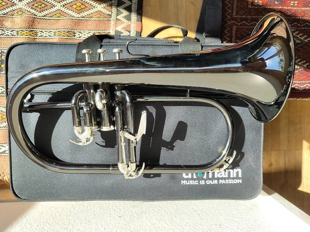 Thomann Strumenti musicali: Neuwertiges Flügelhorn – Nuovo (secondo la descrizione) da Binningen venduto da dar_vm8m 2