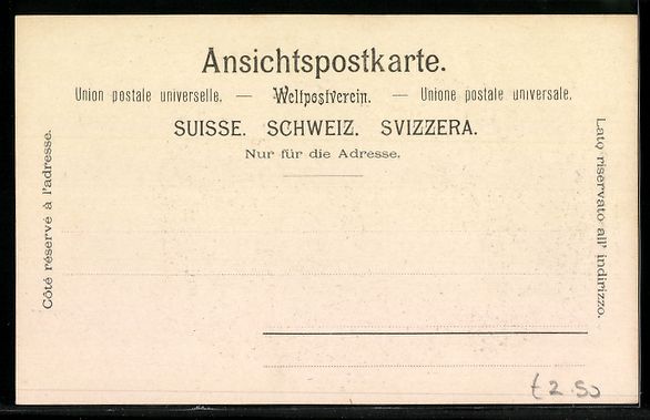 Cartoline postali: Lithographie Thun, Panorama mit Tor – Usato da Berlin venduto da bartko-reher 1