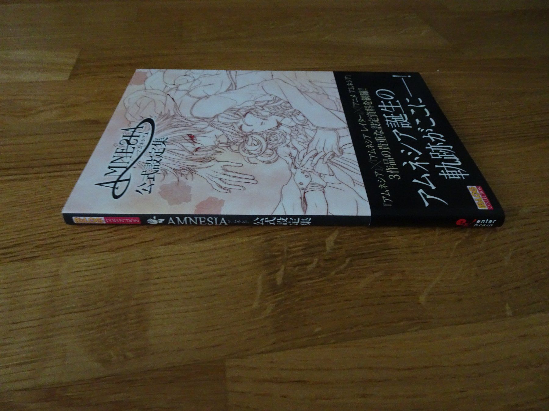 Libri: Amnesia - B'sLog Collection Settei Shiryoushuu Artbook – Usato da Bern venduto da Maronn 1
