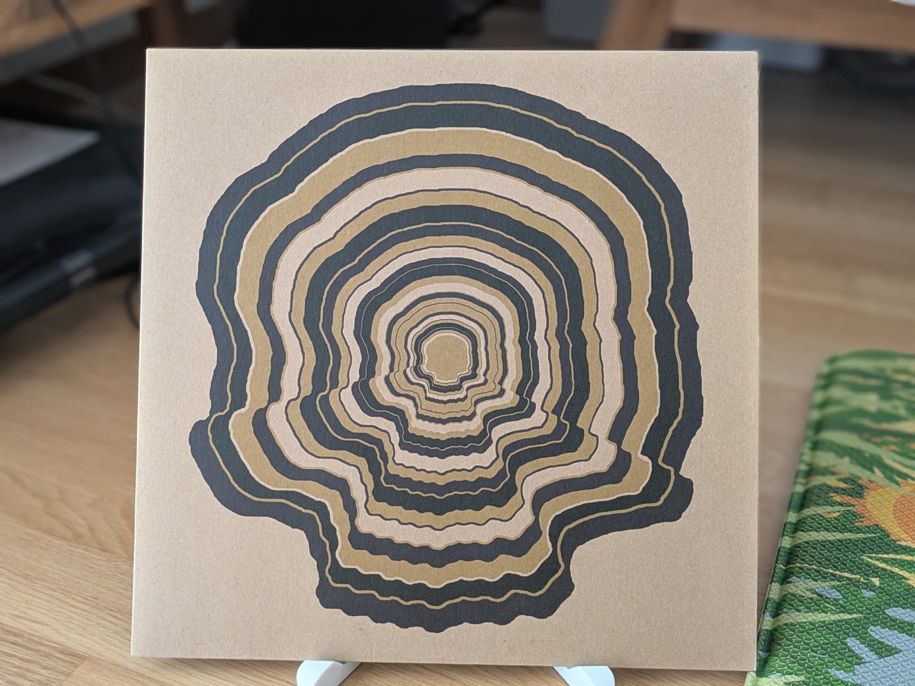 Schallplatten: DEAD SKELETONS - DEAD COMET LP Limited – Gebraucht aus Dübendorf von PanzerGeneral