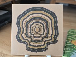 DEAD SKELETONS - DEAD COMET LP Limited
