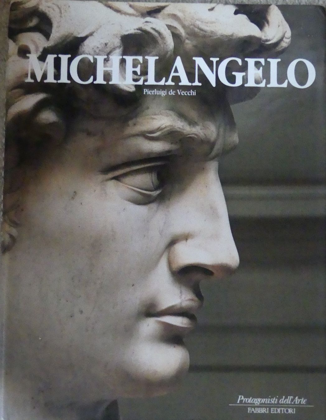 Bücher: Kunstbuch - Michelangelo – Gebraucht aus Zürich von haibide