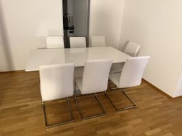 Esstisch 180/240 cm inkl. 12 Stühle